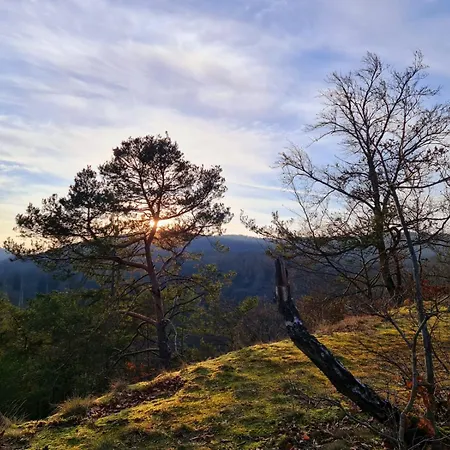 Daire Schoene Aussicht Rot