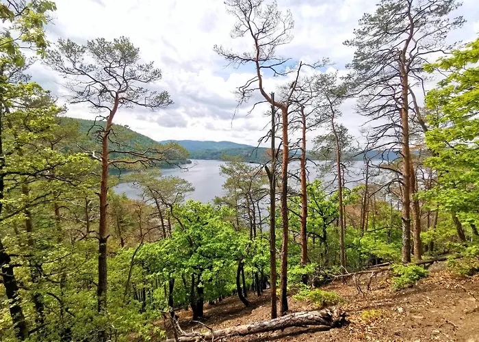 Schoene Aussicht Rot 公寓 Hemfurth-Edersee
